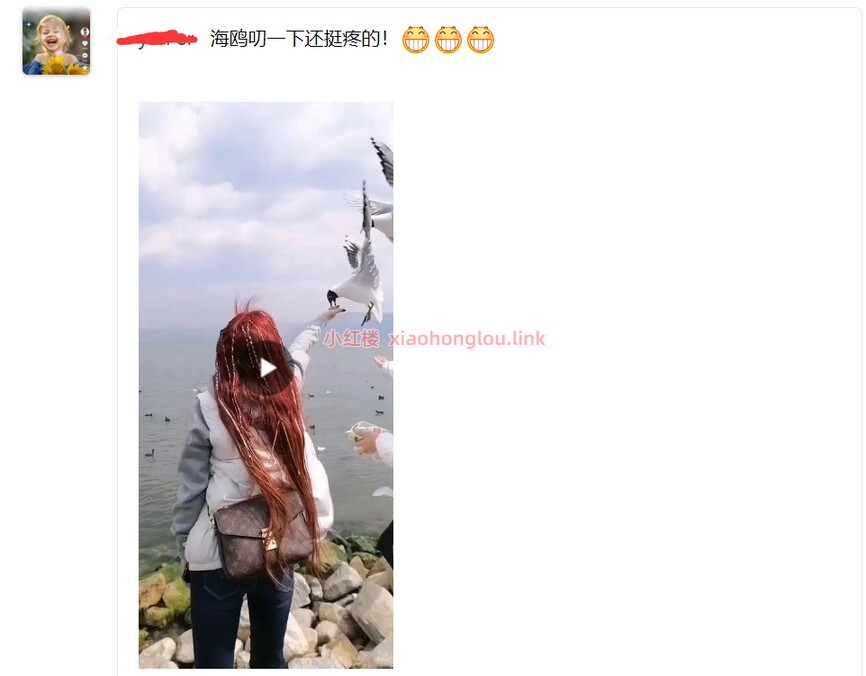 094035aauyjjjpos2ja5ty.jpg