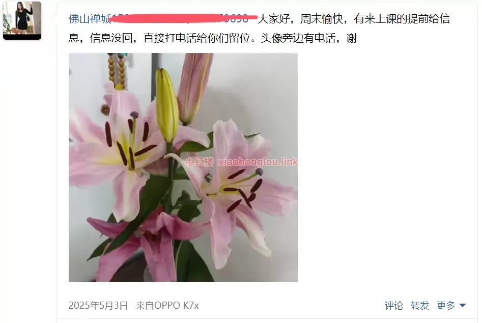 092013dchiceodvkli5vei.webp