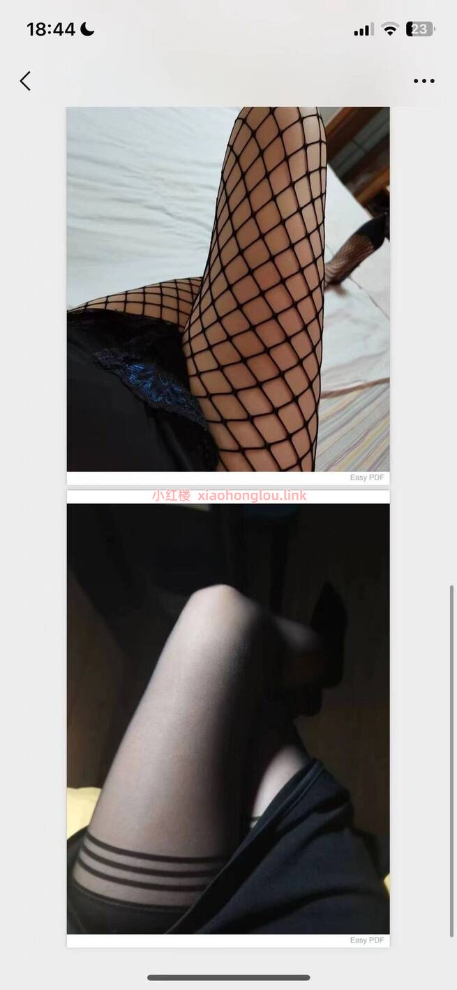 095250zffjpupmta0aqnfh.jpg