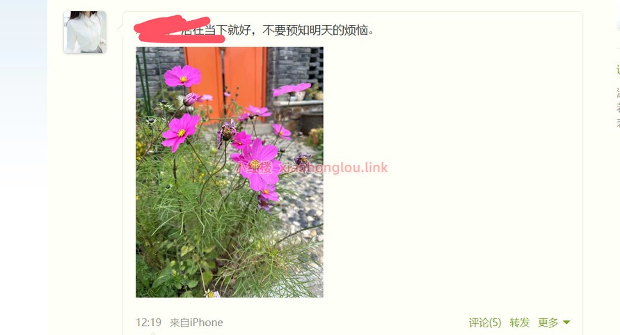 105242dlrhqkwvqpawg6rw.jpg