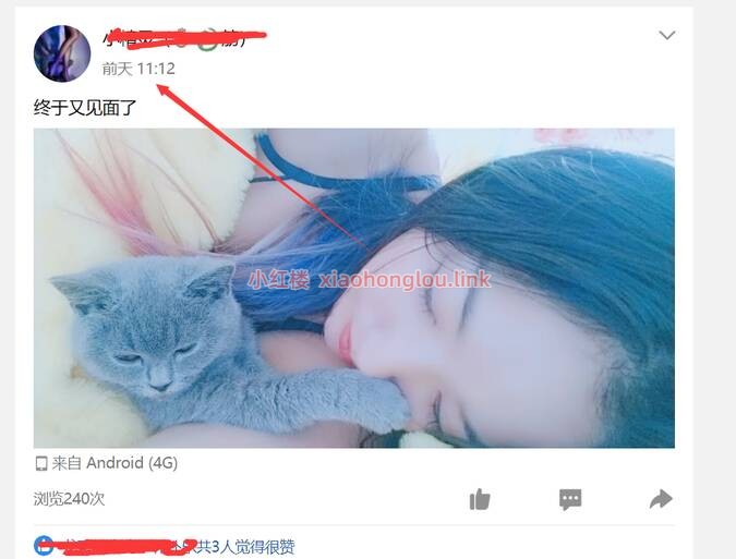 110840tqzujm2a8atj5vrj.jpg