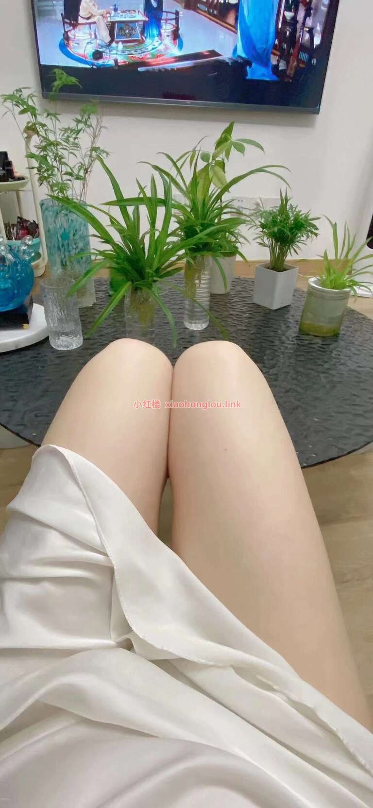 095321qd55xyvdaya55cv5.jpg