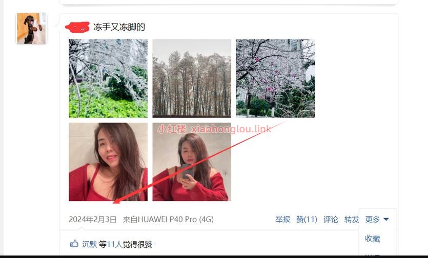 110341v241d8kd1hd29d44.jpg