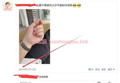 000201wfkgu6dinf9fs81p.jpg