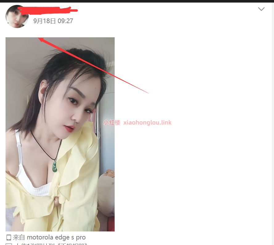 100455v4vv0ju4su0yu1do.png