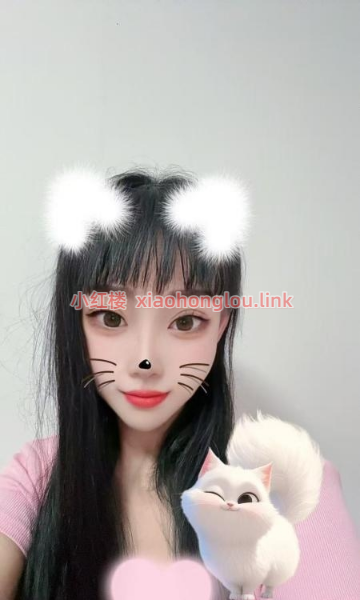 2025061622332263509.png