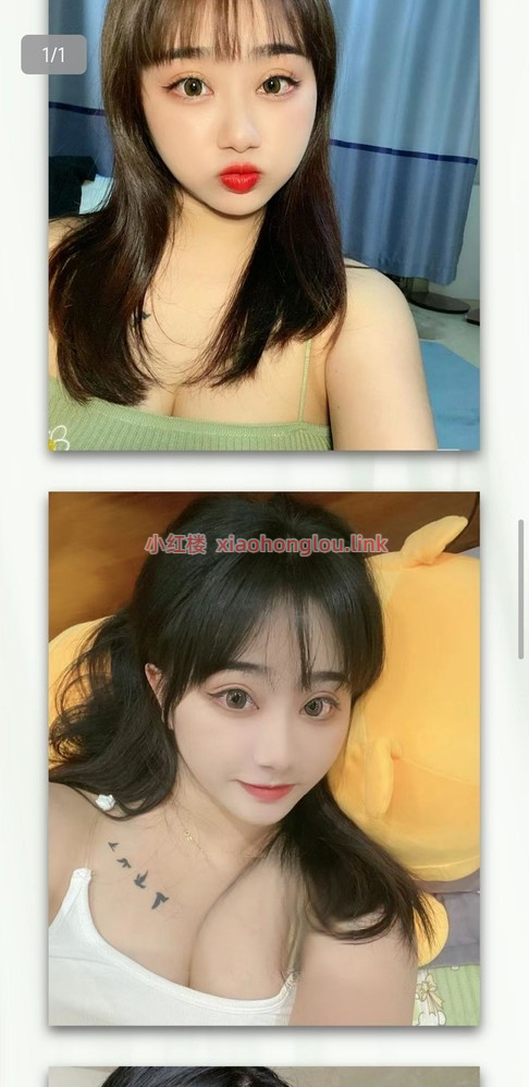 2024102204195150452.png