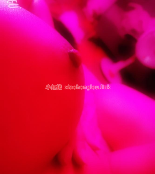 2025090923152941036.png