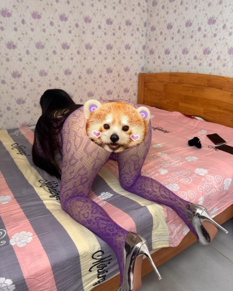 2026042721582773359.png